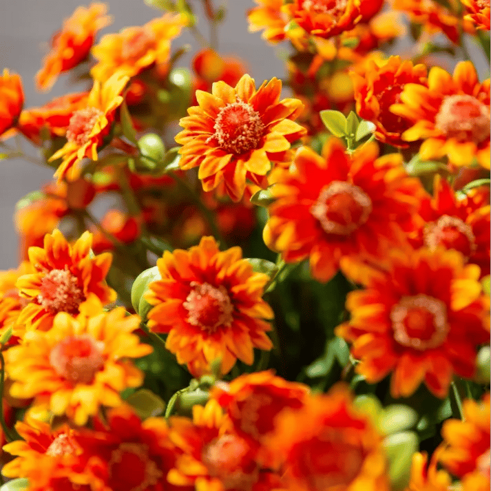 🏆Flash Sale⚡Artificial Outdoor Sunset Mums Flowers - UV resistant, Waterproof, Windproof