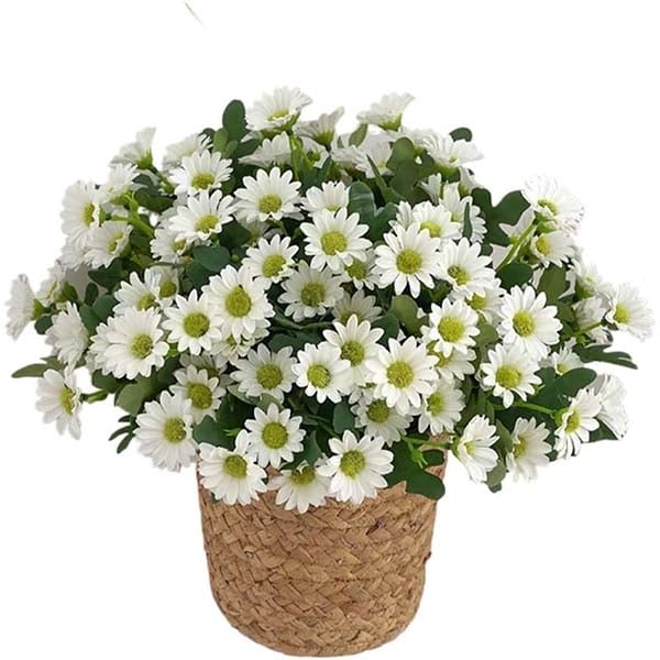 🏆Flash Sale⚡Artificial Outdoor Sunset Mums Flowers - UV resistant, Waterproof, Windproof
